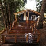 Protective Cable Railing Protective Cable Railing