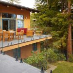 Charcoal Surface Talons Charcoal Surface Talons